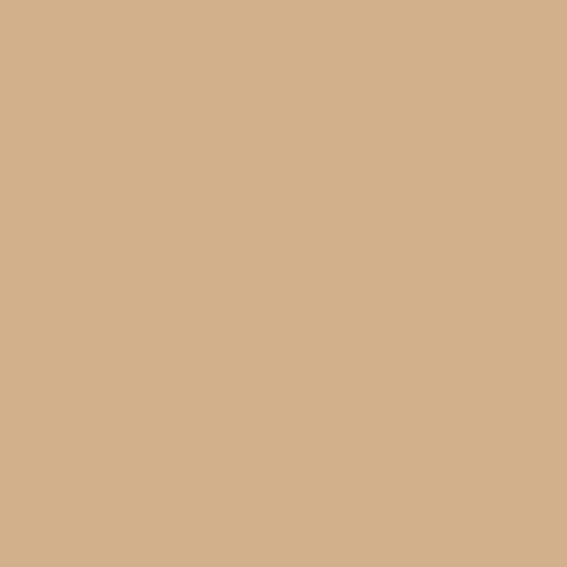 Color Picture